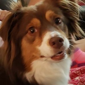 Meet your Posher, Sandi